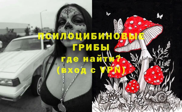 сатива Балабаново