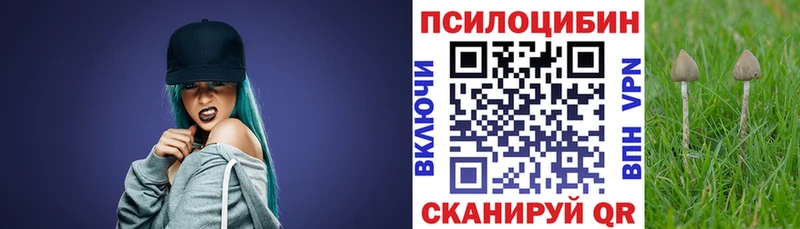 Псилоцибиновые грибы прущие грибы  что такое   Чистополь 